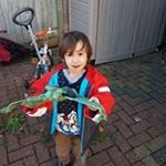 Profile Picture of Brian Mander (@tomelok) on Instagram