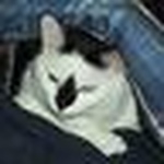 Profile Picture of Maksim Malik (@drmuffin) on Flickr