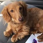 Profile Picture of Randall Hoosier (@jrhoosier) on Instagram