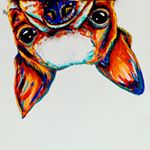 Profile Picture of Roe the Boston (@roetheboston) on Instagram