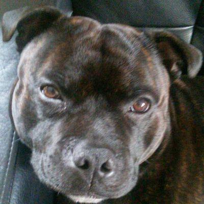Profile Picture of Mark Schlick (@m_schlick) on Twitter