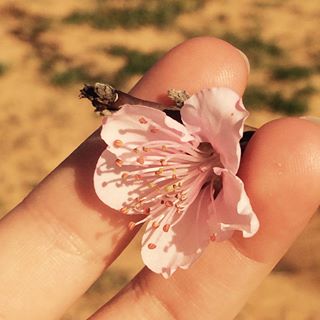 Profile Picture of Balaban KN (@Balaban-KN) on Facebook