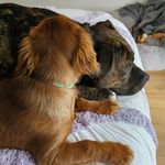 Profile Picture of Rachael Healey (@rachael.healey.372) on Instagram