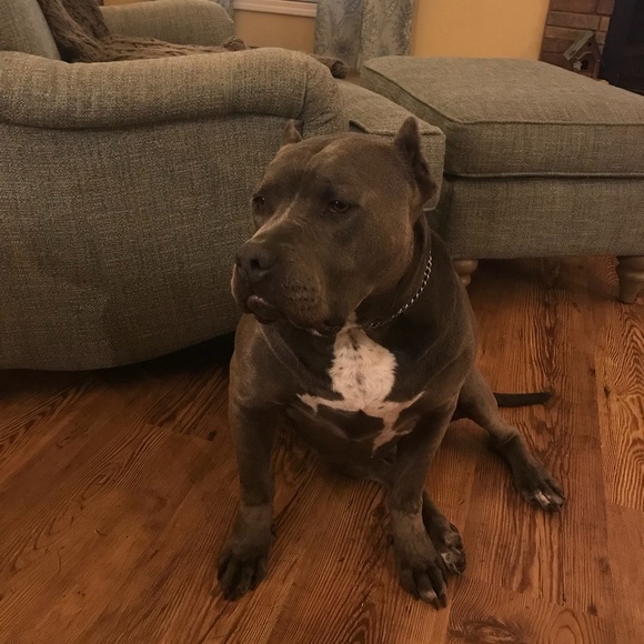 Profile Picture of Barry Collins (@bdcollins1969) on Poshmark