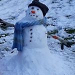 Profile Picture of Robert Timmins (@branden_2311__thaddeus) on Instagram