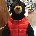 Profile Picture of Jack Hsu (@jack55577) on Flickr