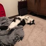 Profile Picture of John Nelson (@coffybrake) on Instagram