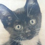 Profile Picture of adamjjarrett (@adamjjarrett) on Instagram