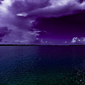 Profile Picture of Sophia Walters (@sophiawalters5116) on Youtube