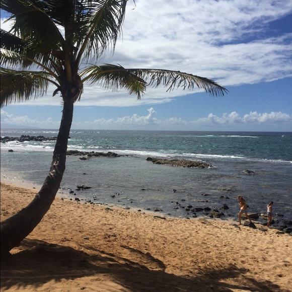 Profile Picture of Lupe Peever (@peev) on Poshmark