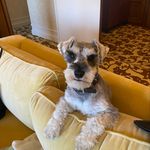 Steven Ratner - Instagram Profile Picture of Steven Ratner (@stevenratner) on Instagram