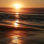 Profile Picture of Fernando Sáez Paredes (@pfernandosaez) on Instagram