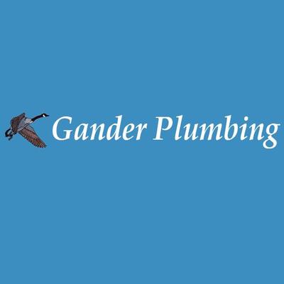 Profile Picture of Bob Gander (@ganderplumbing) on Twitter