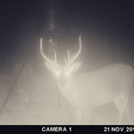 Profile Picture of Rick Andrews (@rick.andrews.904) on Instagram