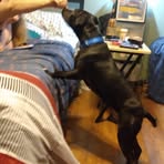 Profile Picture of Joel Mowery (@Joel-Mowery) on Facebook