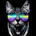 Profile Picture of Alex Sojka (@alex.sojka.77) on Facebook