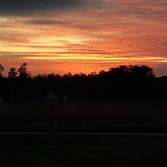 Profile Picture of Kenneth Bingham (@kensprintshop) on Poshmark