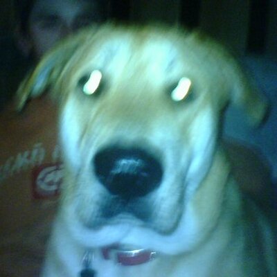 Profile Picture of James Beene (@jbubbacom60) on Twitter