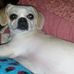 Profile Picture of Sandy Luckey Foss (@sandy.foss.921) on Facebook