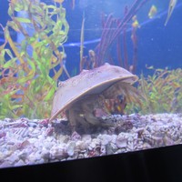 Profile Picture of Shawn Main (@shawn-main-3) on Quora