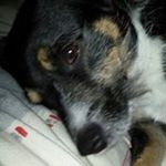 Profile Picture of Doris Busse (@bussedoris) on Instagram