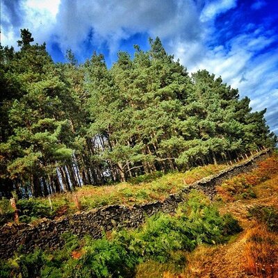 Malik Jeremy - Twitter Profile Picture of Malik Jeremy (@MalikJeremy377) on Twitter