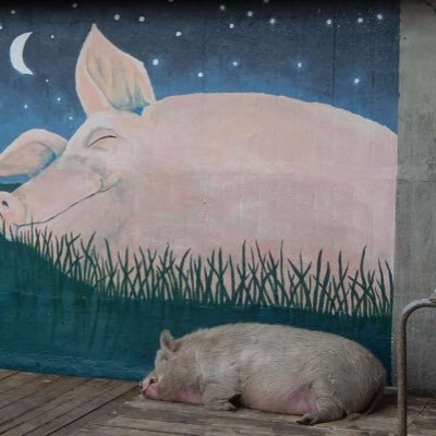 Profile Picture of Lu Zheng (@Luzheng36356949) on Twitter