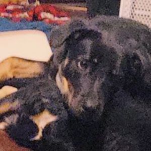 Profile Picture of Jenny Perrmann882 (@richardperrmann88) on Tiktok