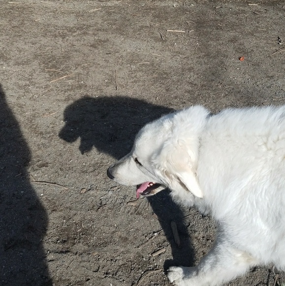 Profile Picture of Ethan Zarnick (@imnotfabio) on Poshmark