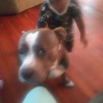 Profile Picture of David beverly (@davidbeverly292) on Instagram