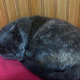 Profile Picture of valentina silva (@valentinaeps) on Pinterest