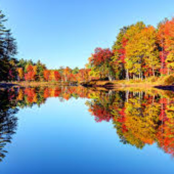 Profile Picture of S Kim (@skcloset29) on Poshmark