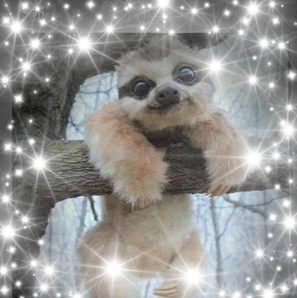 Profile Picture of Stephanie Gornick (@gornick) on Poshmark