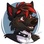 Profile Picture of 🐾 (@shawn_furry) on Instagram