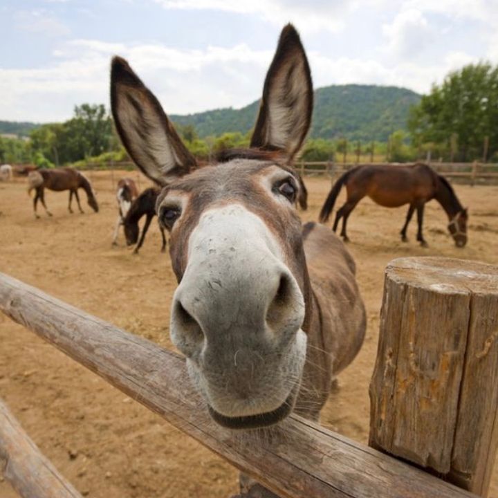 Profile Picture of Mike Foreman (@user1844582726) on Tiktok