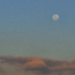 Profile Picture of Luka/Steve (@mipha2005) on Instagram