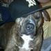 Profile Picture of Kenneth Dawe (@kenneth.dawe1) on Facebook