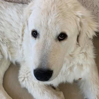 Profile Picture of David Harral (@davidharral) on Instagram