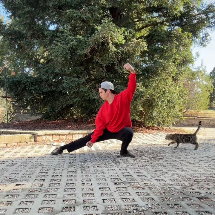 Profile Picture of sky.earth.soul (@sky.earth.soul) on Tiktok