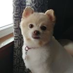 Profile Picture of Leann Rensink (@leannrensink) on Instagram