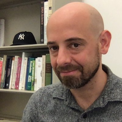 Profile Picture of Marc Tollis (@evilsmaug) on Twitter