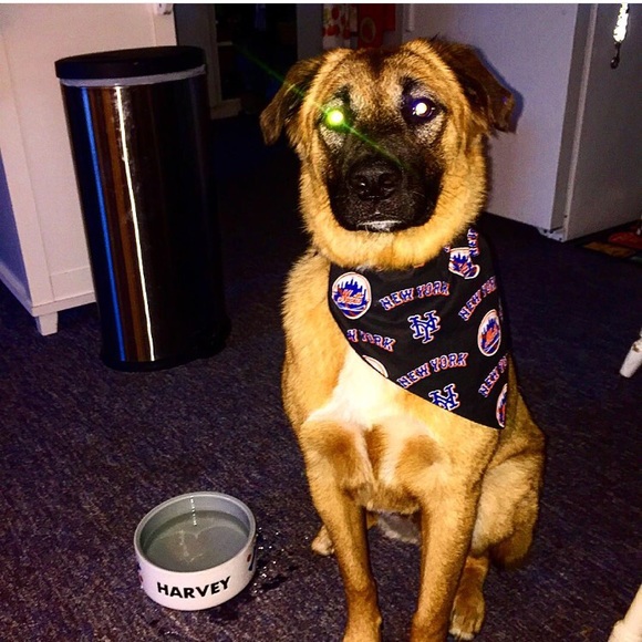 Profile Picture of Eric Felsten (@fel2718) on Poshmark