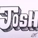Profile Picture of Josh Roemersberger (@joshroemersberger) on Pinterest