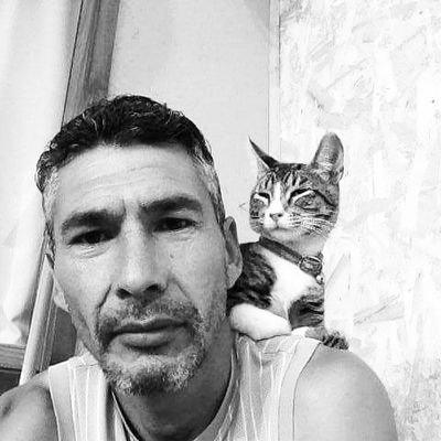Profile Picture of Marcelo Miranda Saavedra 🐱 (@marcelotauro) on Twitter