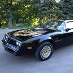 Profile Picture of Steven Zimmerman (@steviez78) on Instagram