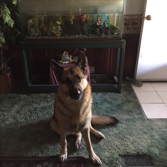 Profile Picture of Georgette Henderson (@leegeorgette) on Poshmark