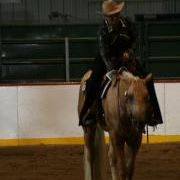 Profile Picture of Robin Danielson (@rdaniels11) on Pinterest