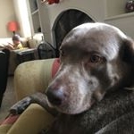 Profile Picture of Natalie Mae Rego (@natalier_1204) on Instagram