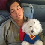 Profile Picture of Paul Yim (@polypyim) on Instagram
