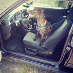 Profile Picture of Jason giuliano (@jasongiuluano) on Instagram